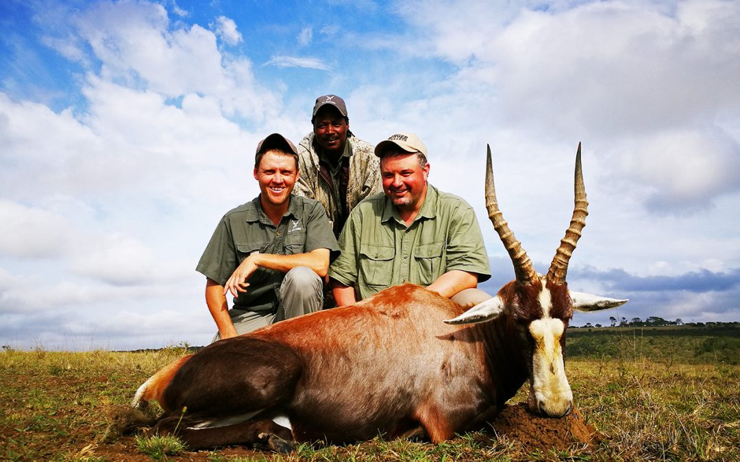 Review – Adrian May 2017